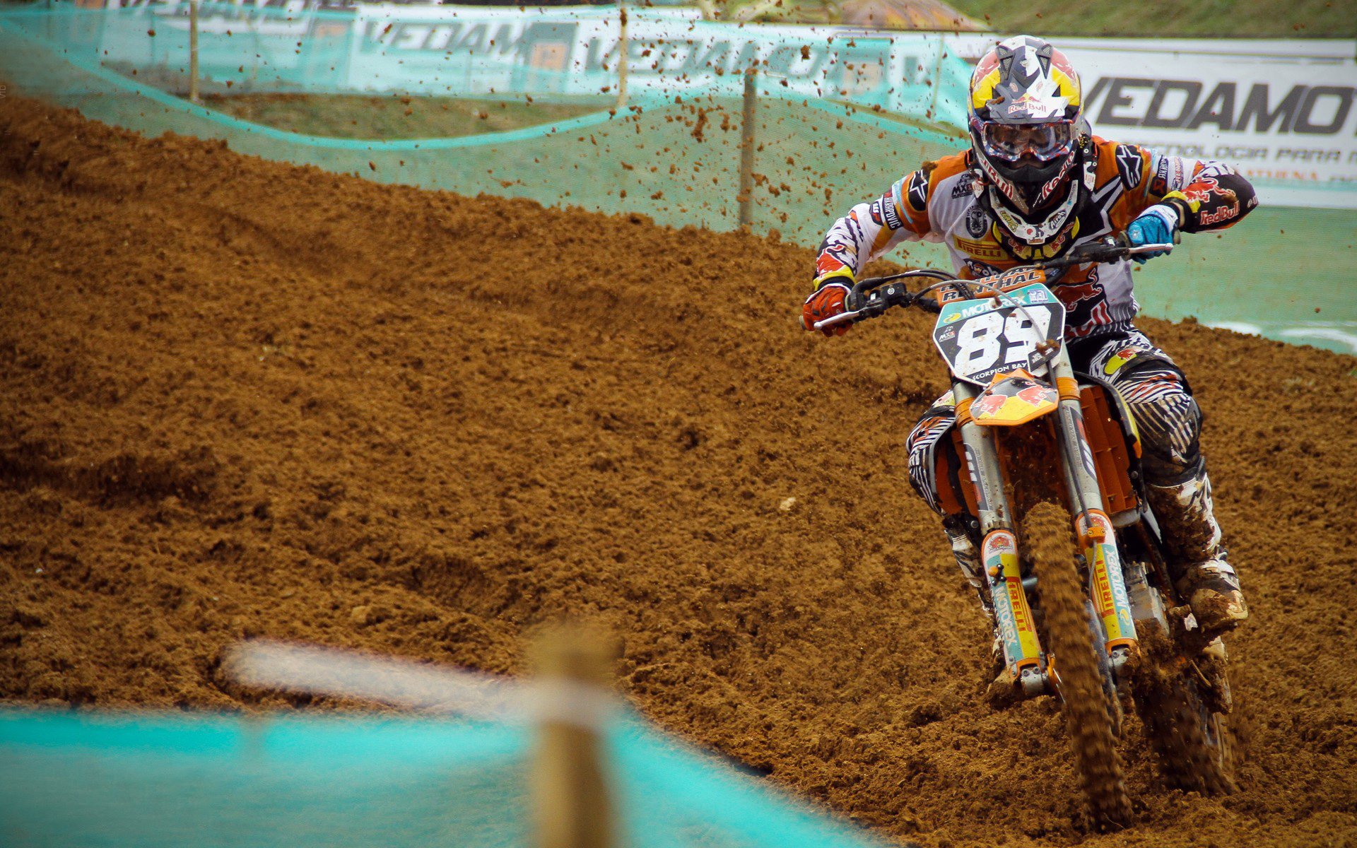 世界杯全民竞猜活动揭晓:仅3%参与者准确预测冠军